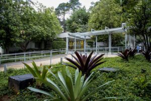 Como escolher um residencial para idosos com segurança: critérios essenciais para tomar a decisão certa